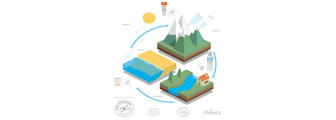 Processus du cycle de l'eau de la montagne à l'océan